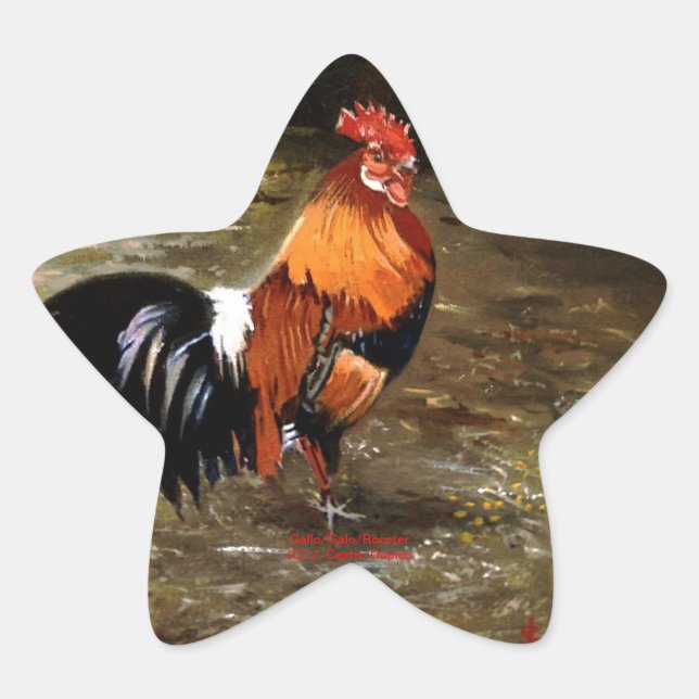 Pegatina En Forma De Estrella Gallo/Galo/Rooster (Anverso)