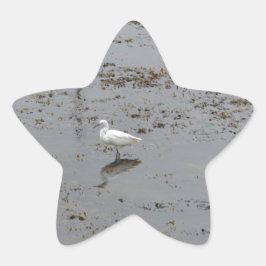Pegatina En Forma De Estrella Garceta Nívea