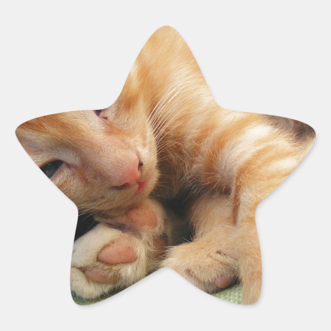 Pegatina En Forma De Estrella Gatito de tigre mate (Anverso)