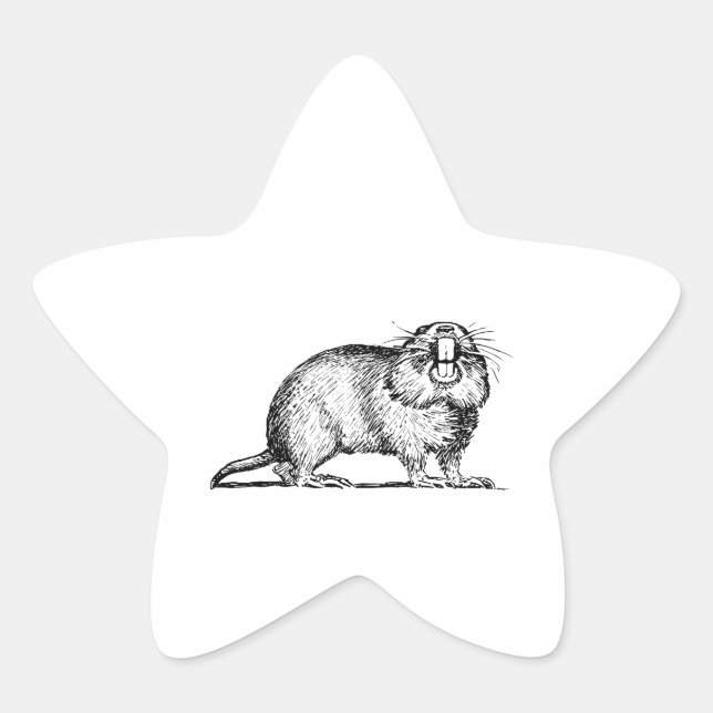 Pegatina En Forma De Estrella Gopher (Anverso)