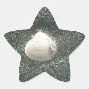 Pegatina En Forma De Estrella Hermosa concha de mar en la arena: Un recuerdo sal