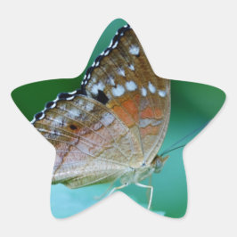 Pegatina En Forma De Estrella Hermosa mariposa Danaus Plexippus en hoja.
