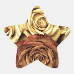 Pegatina En Forma De Estrella Hermosos Rosas antiguos