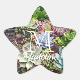 Pegatina En Forma De Estrella Hermosos Suculentos