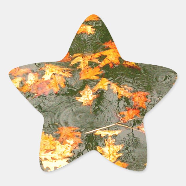 Pegatina En Forma De Estrella hojas caídas en lluvia (Anverso)