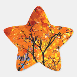 Pegatina En Forma De Estrella hojas naranjas