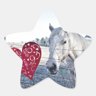 Pegatina En Forma De Estrella HORSE Valentine