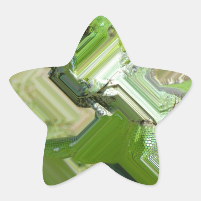 Pegatina En Forma De Estrella Iguana verde (Anverso)