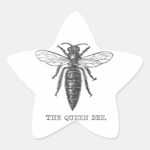 Pegatina En Forma De Estrella Ilustración antigua de insecto bug abeja reina