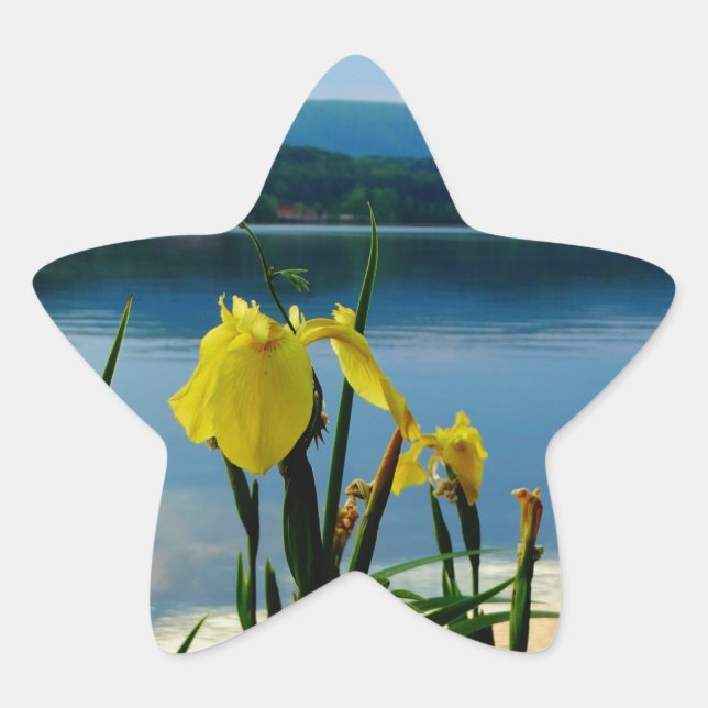 Pegatina En Forma De Estrella Iris amarillo en la orilla del lago (Anverso)