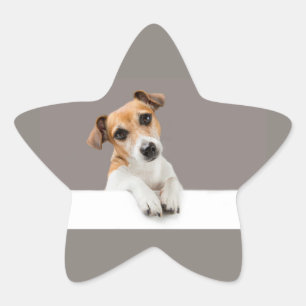 Pegatina En Forma De Estrella Jack Russell Puppy Sweet Adorable Baby