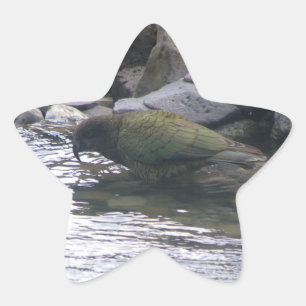 Pegatina En Forma De Estrella Kea
