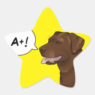 Pegatina En Forma De Estrella Labrador profesor de perro de buen grado de recomp