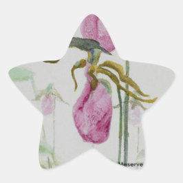 Pegatina En Forma De Estrella Lady Slippers