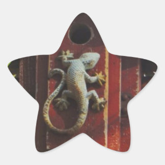 Pegatina En Forma De Estrella lagarto gris de madera desgastada