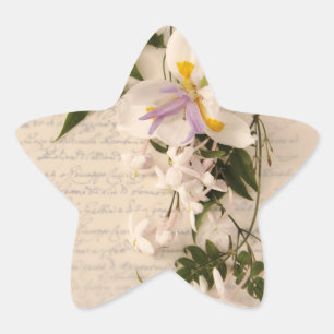 Pegatina En Forma De Estrella las flores y el lirio del jazmín con la escritura