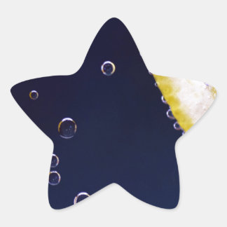 Pegatina En Forma De Estrella Lemon