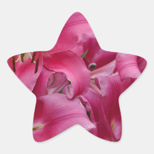 Pegatina En Forma De Estrella Lirios de estrellas de color rosa