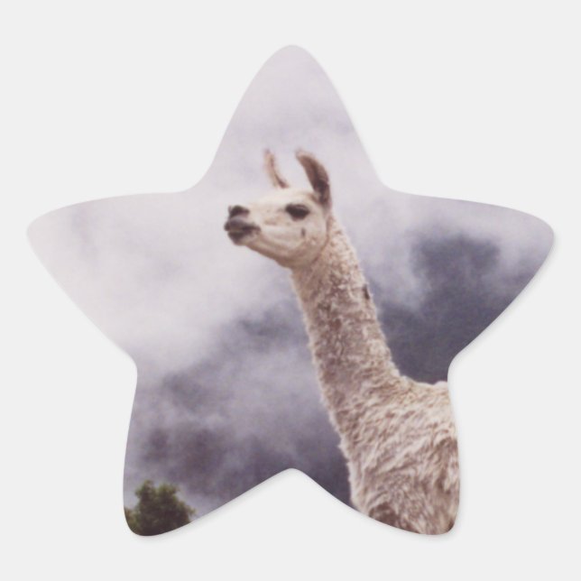Pegatina En Forma De Estrella Llama Machu Picchu, Perú (Anverso)