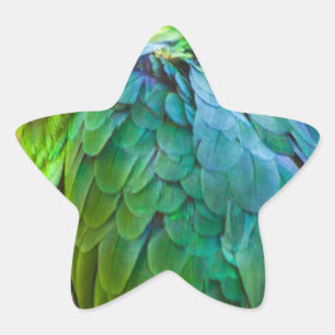 Pegatina En Forma De Estrella Loro verde