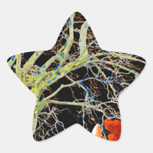 Pegatina En Forma De Estrella Luna Roja en ascenso