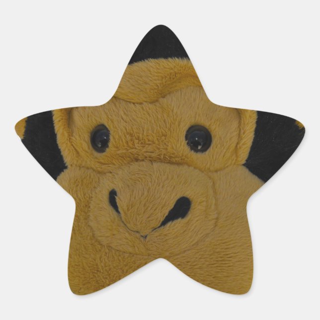 Pegatina En Forma De Estrella Maestro de Quiz (Anverso)