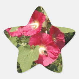 Pegatina En Forma De Estrella Malvarisas rosas