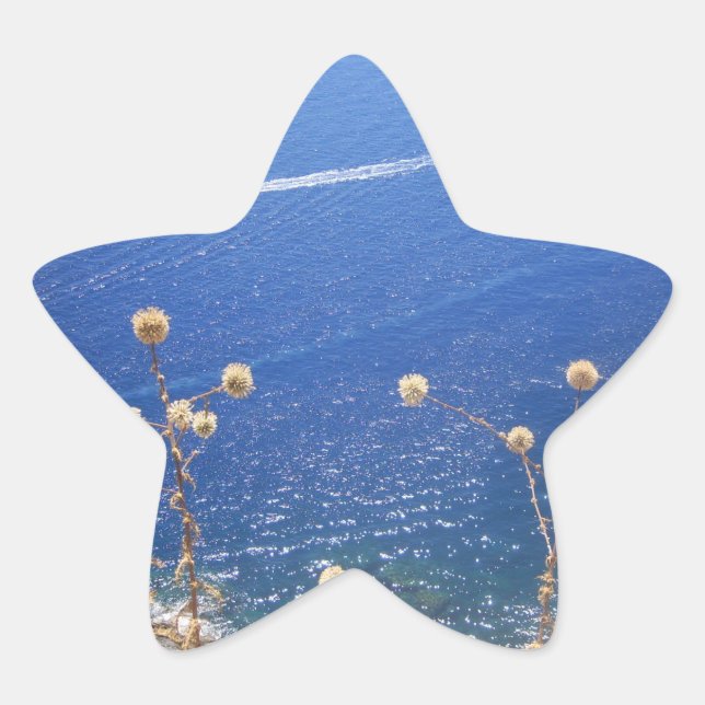 Pegatina En Forma De Estrella Mar Azul griego (Anverso)