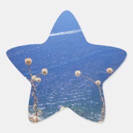 Pegatina En Forma De Estrella Mar Azul griego