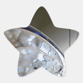 Pegatina En Forma De Estrella Mariposa gris azul