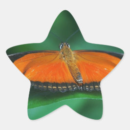 Pegatina En Forma De Estrella Mariposa naranja brillante y negra en hoja