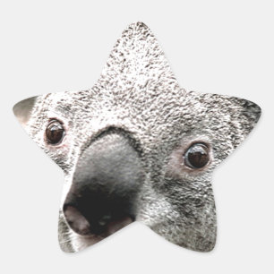 Pegatina En Forma De Estrella Me importa.