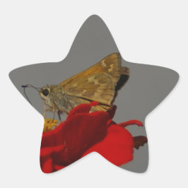 Pegatina En Forma De Estrella Modos y zinnia roja