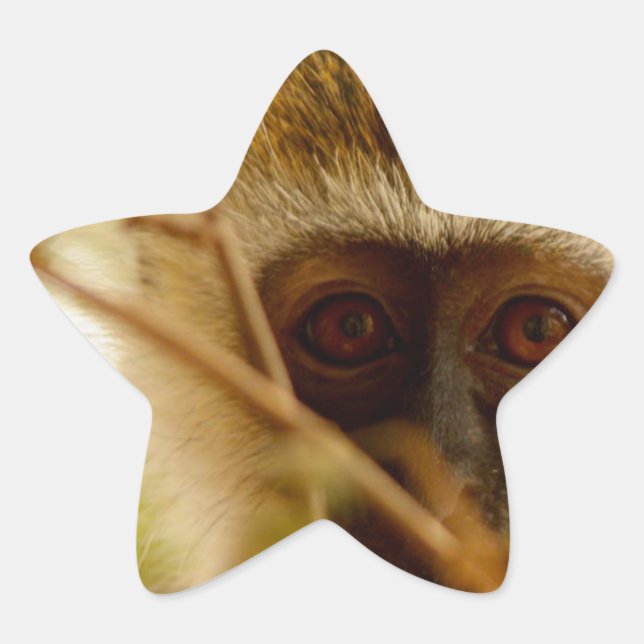 Pegatina En Forma De Estrella Mono descarado. (Anverso)