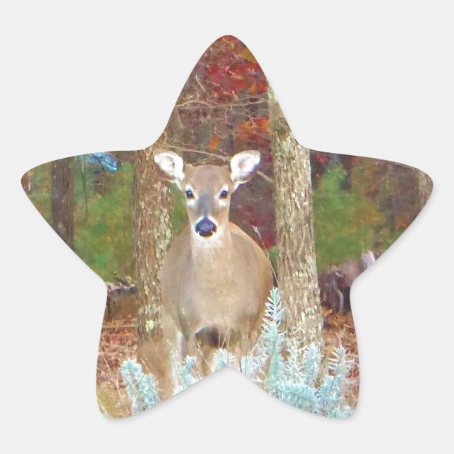 Pegatina En Forma De Estrella Navidades Deer (Anverso)