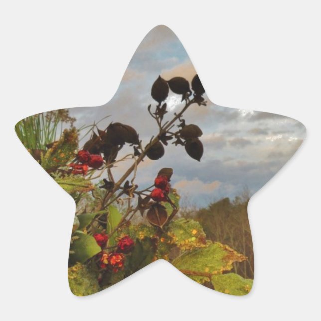 Pegatina En Forma De Estrella Navidades elegantes de Holly, (Anverso)