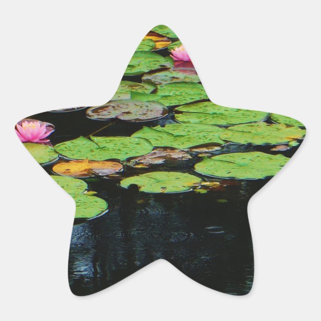 Pegatina En Forma De Estrella negro loto rosa (Anverso)