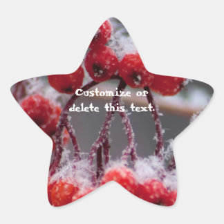 Pegatina En Forma De Estrella Nieve de SONB sobre Berries; Personalizable