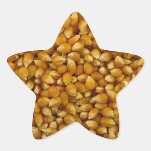PEGATINA EN FORMA DE ESTRELLA PALOMITAS