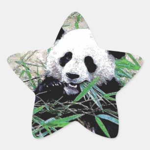 Pegatina En Forma De Estrella Panda