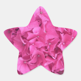 Pegatina En Forma De Estrella Patrón de flores rosadas de Hydrangea