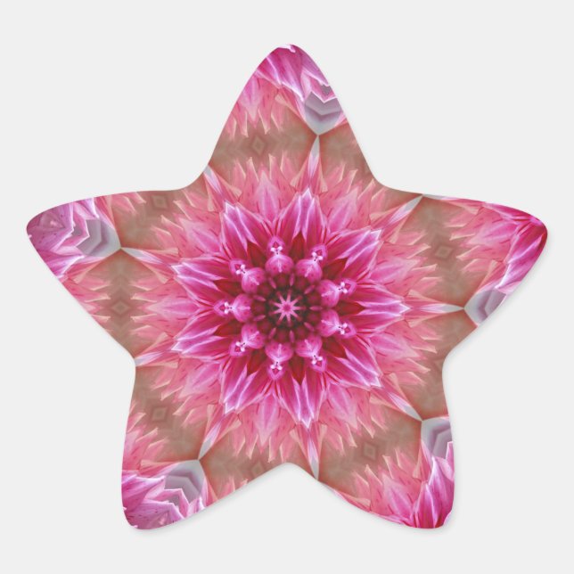 Pegatina En Forma De Estrella Patrón de flores rosadas de Mandala geométrica-675 (Anverso)