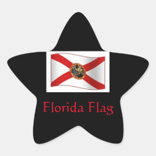 Pegatina En Forma De Estrella Pegatina de bandera de Florida