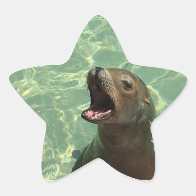 Pegatina En Forma De Estrella Pegatina de León del Mar de Chatty (Anverso)
