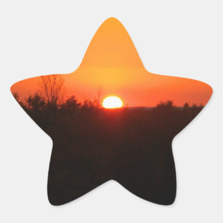 Pegatina En Forma De Estrella Pegatinas