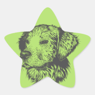 Pegatina En Forma De Estrella Pegatinas de perros