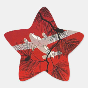 Pegatina En Forma De Estrella Pegatinas de Viajes Vintage Avión Prop FW Red