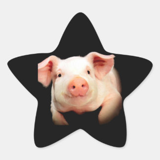 Pegatina En Forma De Estrella Pequeño cerdito