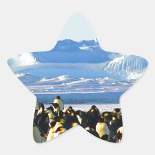 Pegatina En Forma De Estrella Pingüinos emperadores