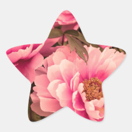 Pegatina En Forma De Estrella Pink  Peony Flower